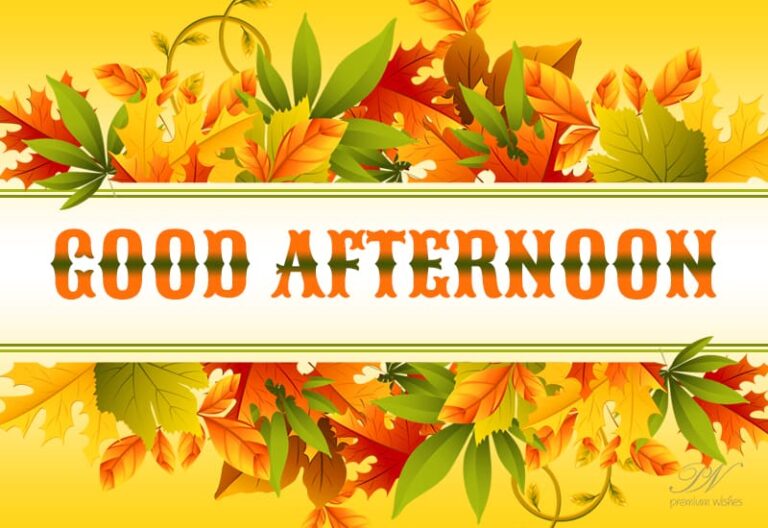 Good Afternoon – Let your afternoon be filled with laughter and cheerfulness!