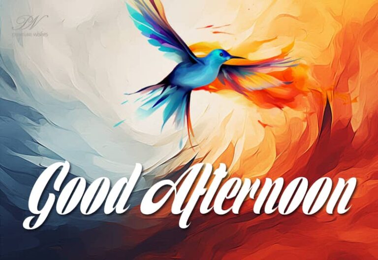 Good Afternoon – Fly High