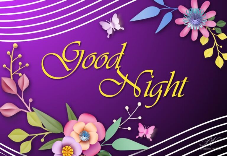 Good Night Wishes