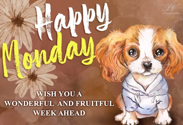 Happy Monday – Wish you a wonderful and fruitful week ahead