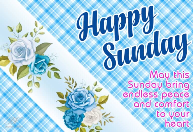 Happy Sunday – May this Sunday bring endless peace and comfort to your heart