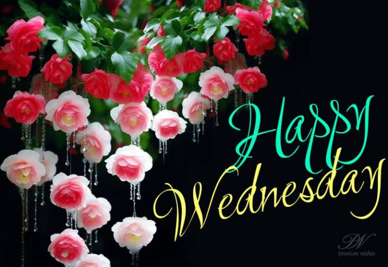 Wishing you an enchanting Wednesday  – Good Morning