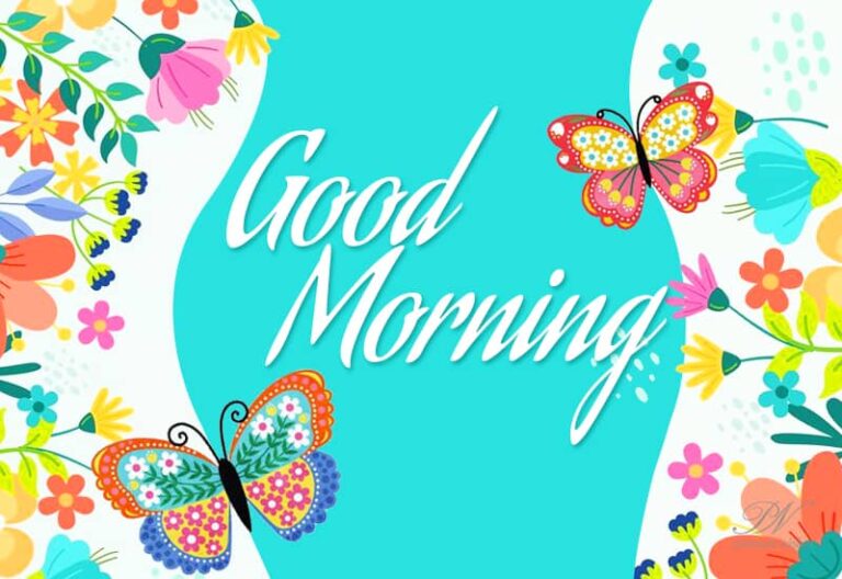 Good Morning – Enjoy The Morning Colours