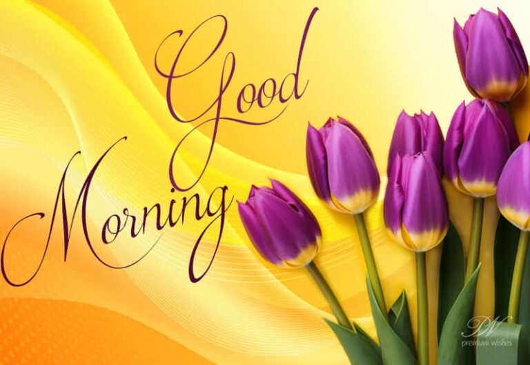 Good Morning – Friends Enjoy The Beautiful Flowers