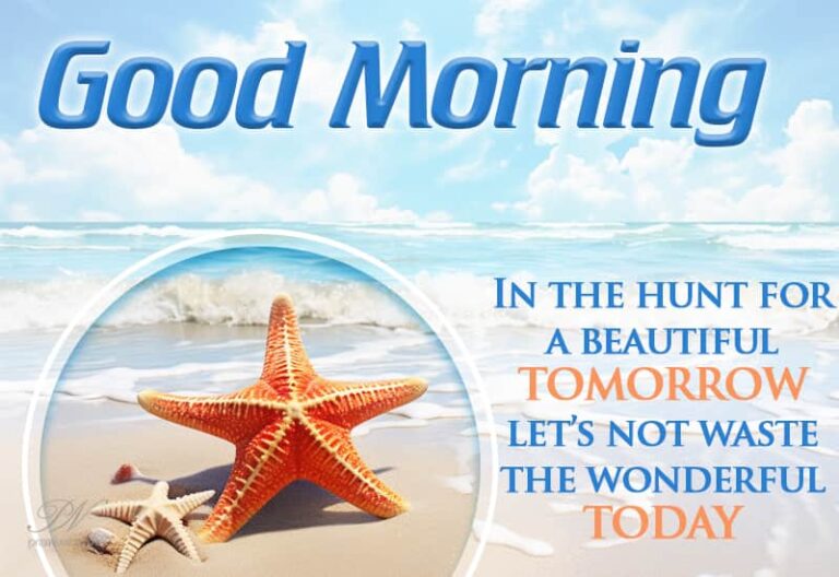 Good Morning – In the hunt for a beautiful tomorrow let’s not waste the wonderful Today