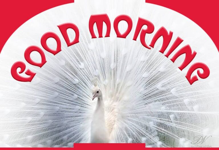 Good Morning – Rise, Smile and Start