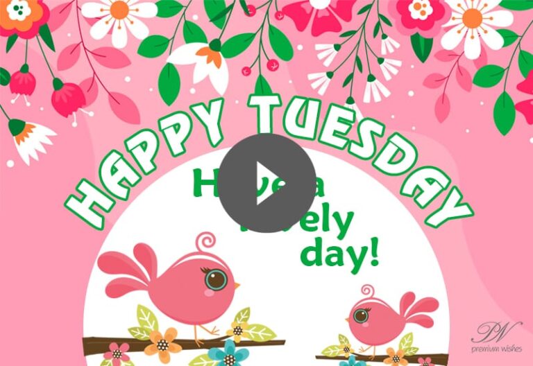 Happy Tuesday Video with Birds – Happy Tuesday Morning Greetings
