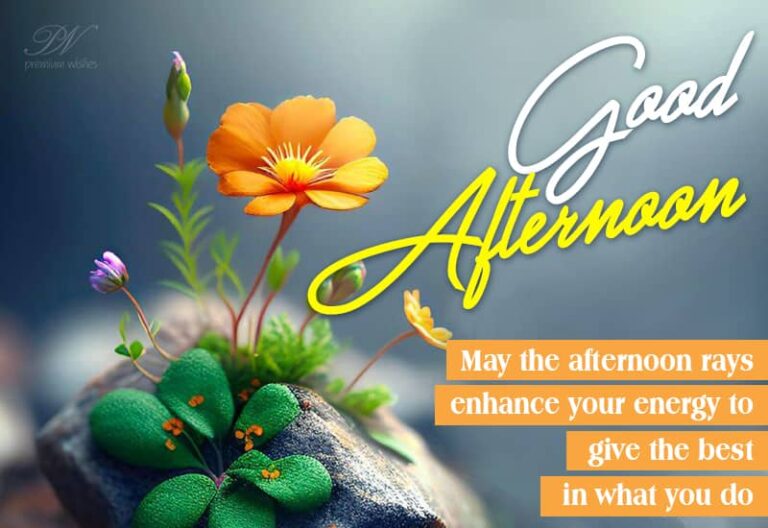 Good Afternoon Wishes