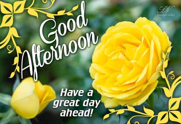 Good Afternoon – Have a great day and a fabulous afternoon