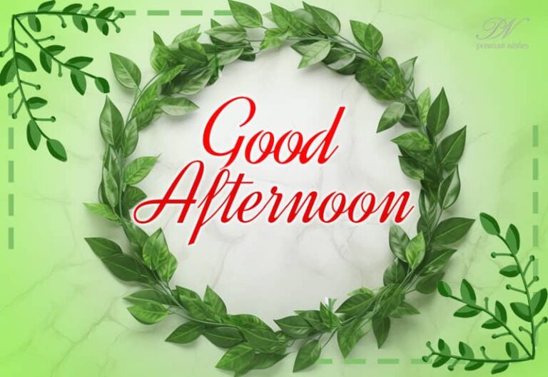 Good Afternoon Wishes