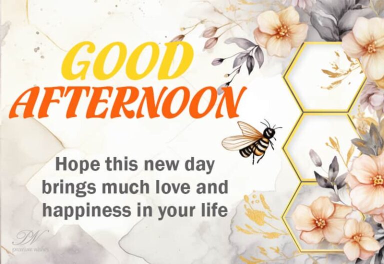 Good Afternoon Wishes