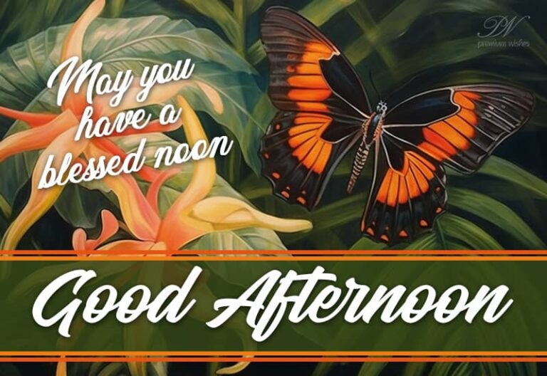 Good Afternoon Wishes
