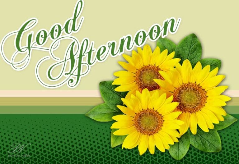 Good Afternoon Wishes