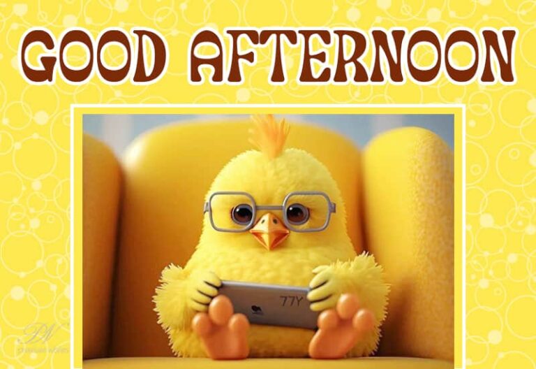 Good Afternoon Wishes
