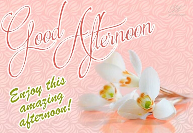 Good Afternoon Wishes