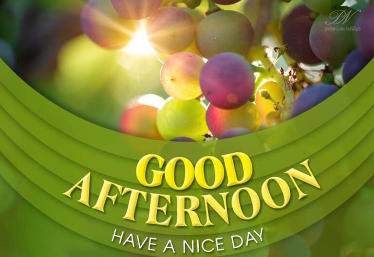 Good Afternoon Wishes