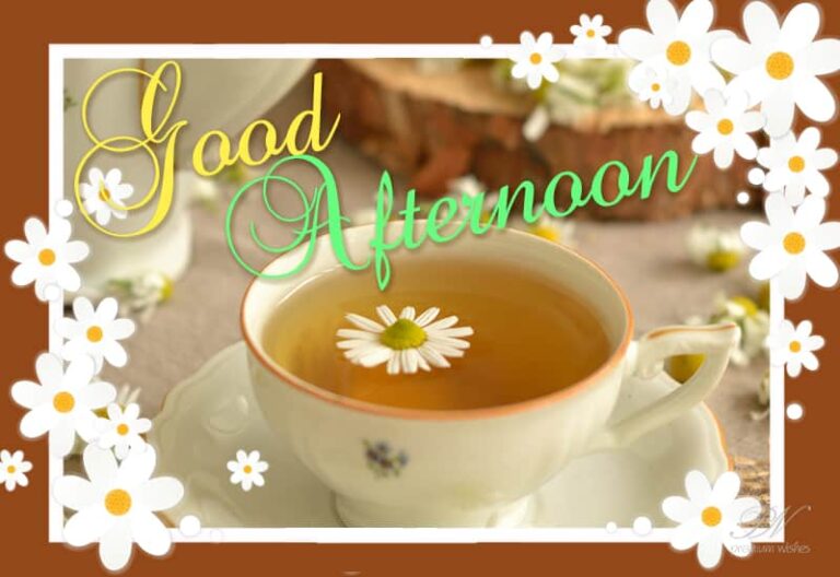 Good Afternoon Wishes