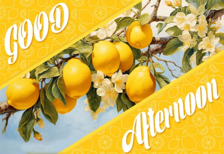 Good Afternoon Wishes