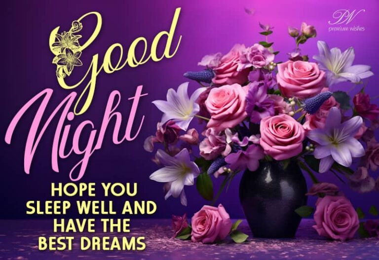 Good Night – Hope you sleep well and have the best dreams