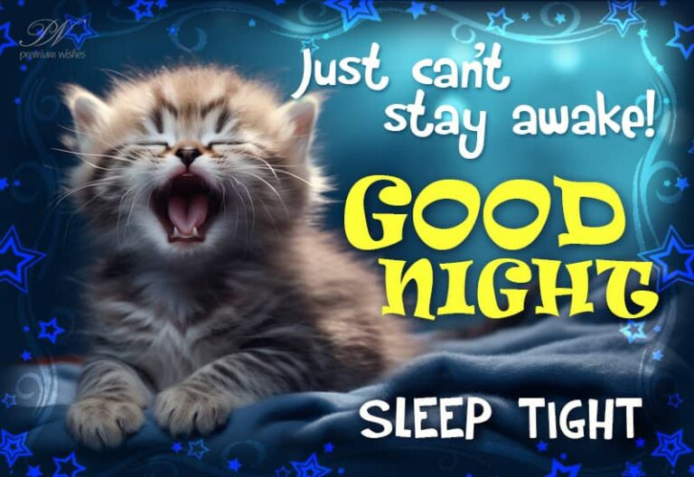 Good Night Wishes