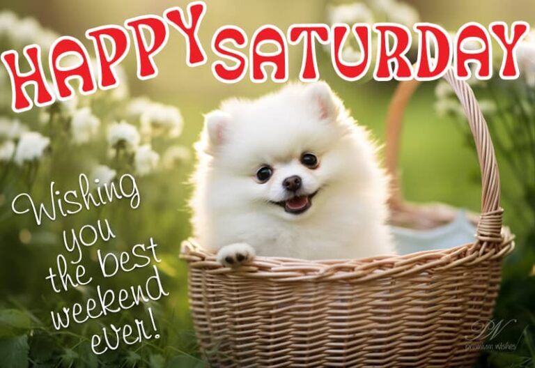 Happy Saturday – Wishing you the best weekend ever