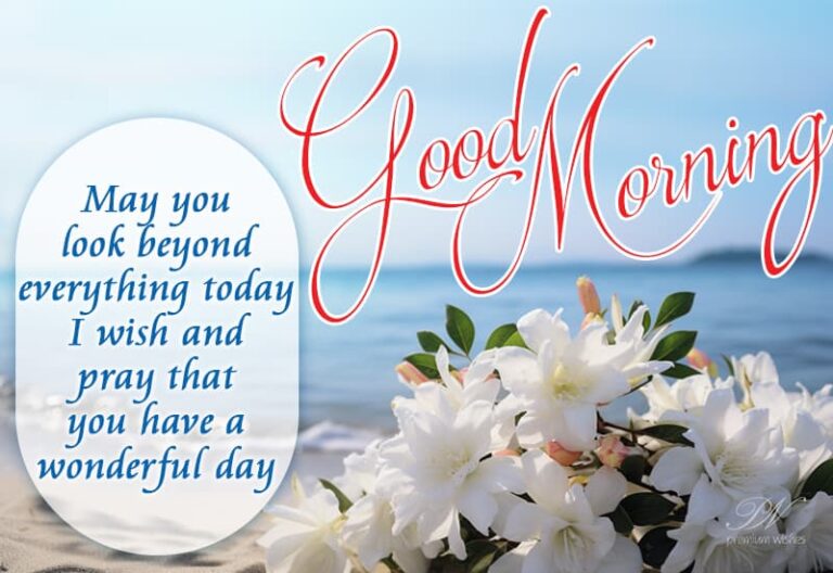 Good Morning – May you look beyond everything today- I wish and pray that you have a wonderful day