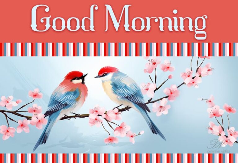 Good morning, buddy! May joy and blessings surround you throughout the day.