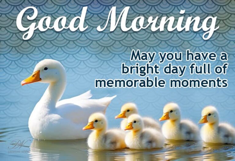 Good Morning – May you have a bright day full of memorable moments