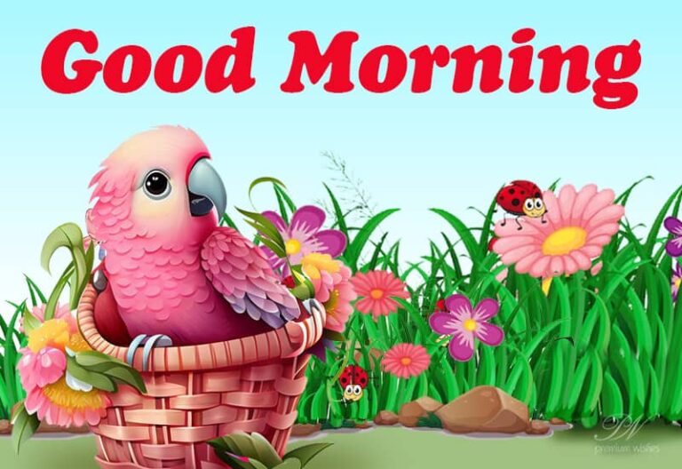 Jump-start your day with new goals and plans. Happy morning!