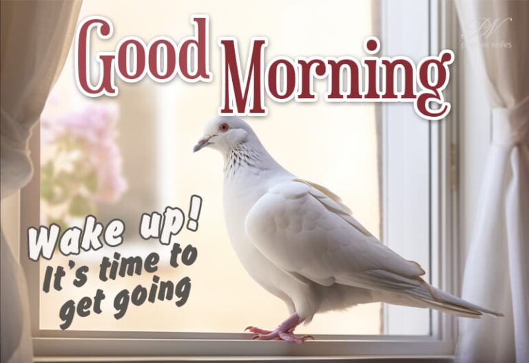 Good Morning – Wake up It’s time to get going