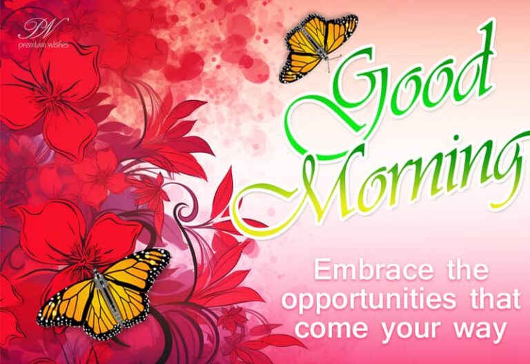 Good Morning – Embrace the opportunities that come your way