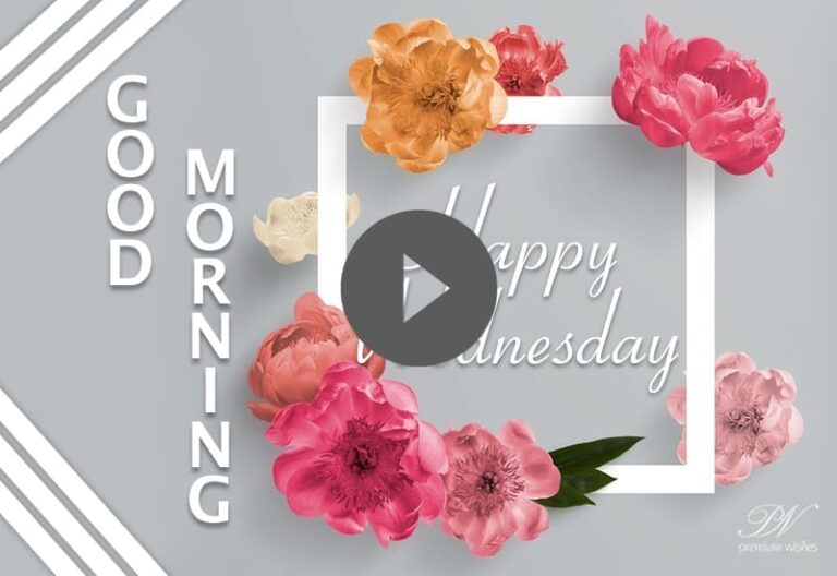 Happy Wednesday Good Morning Status – Wednesday Wishes