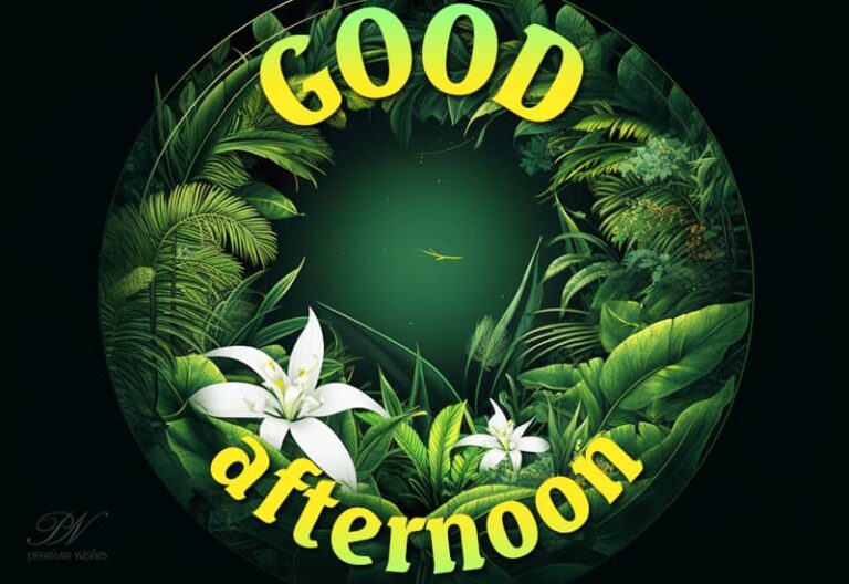 Good Afternoon Wishes