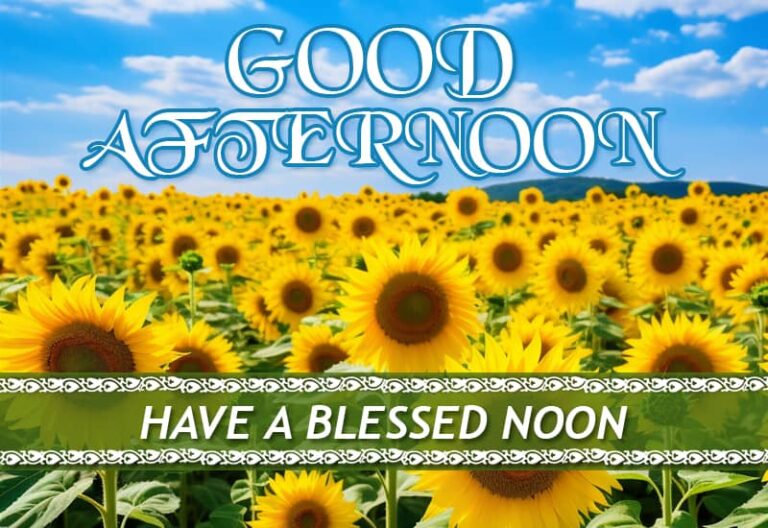 Good Afternoon Wishes