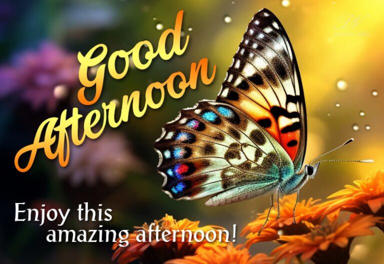 Good Afternoon Wishes