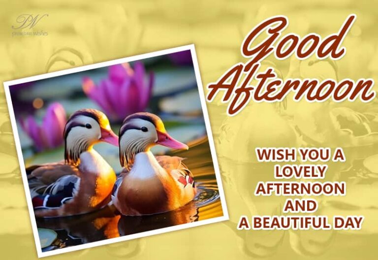 Good Afternoon Wishes