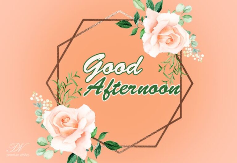 Good Afternoon Wishes