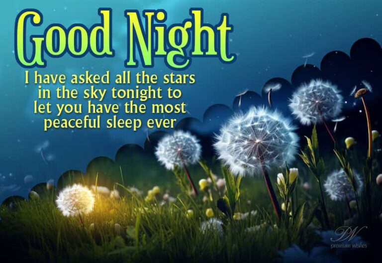Good Night Wishes