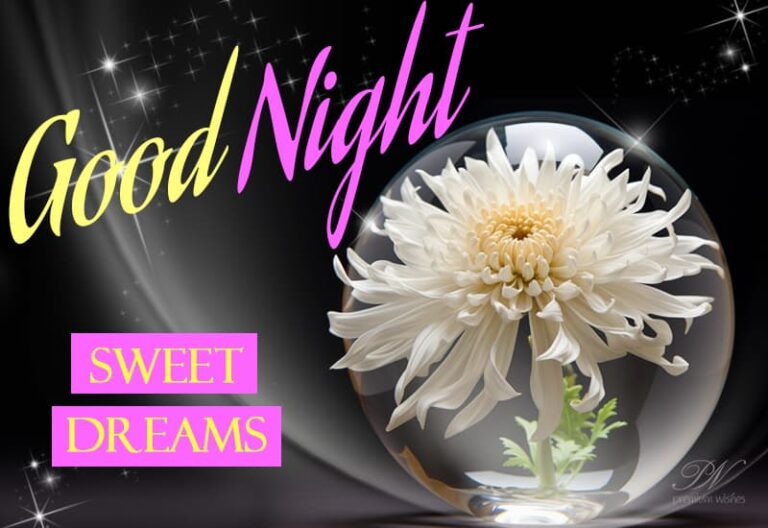 Good Night Wishes