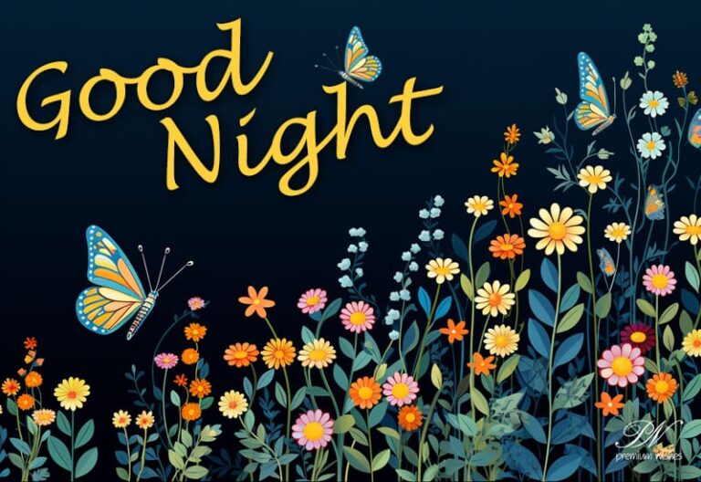 Good Night Wishes