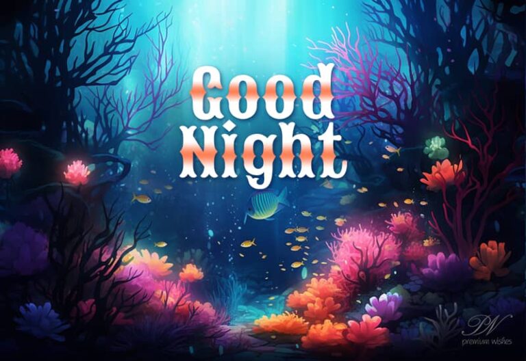 Good Night Wishes