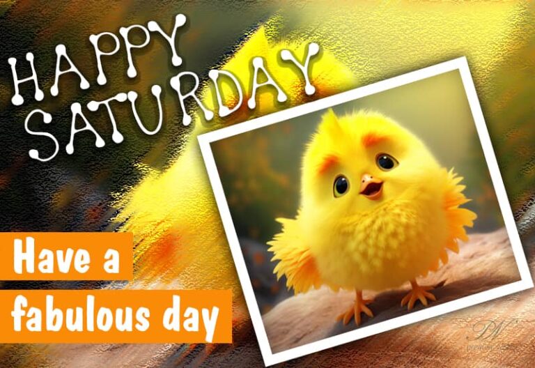 Have a fabulous and entertaining Saturday Friends