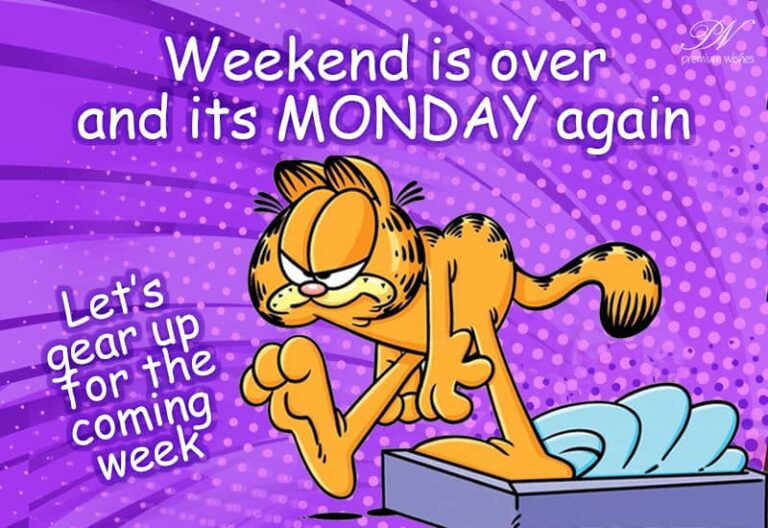 Weekend is over and it’s Monday again. Let’s gear up for the coming week