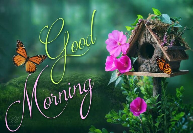 Sending you good vibes to start your morning with positive energy! Good morning