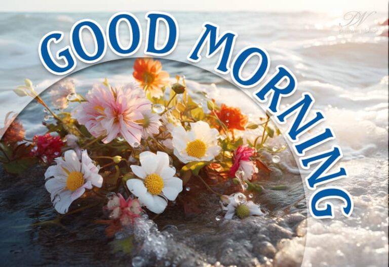 A smile is what you need to start the day with. Good morning!