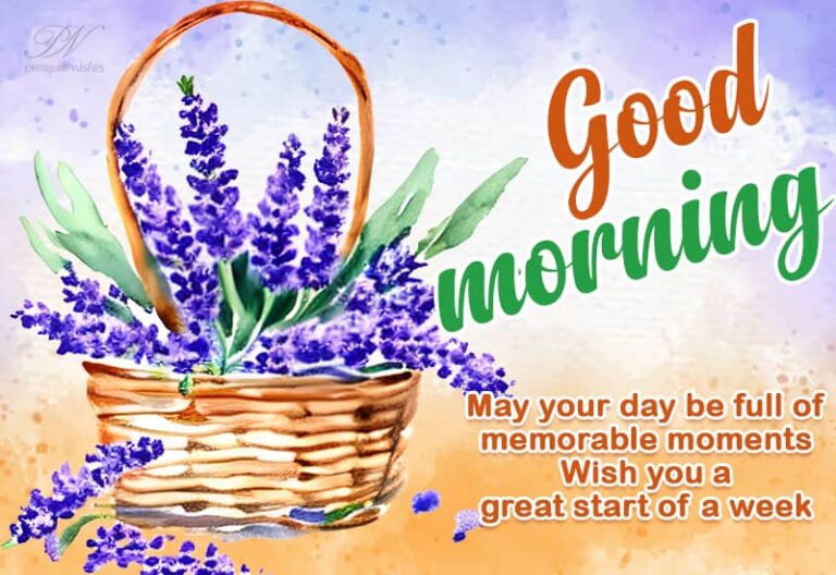 Good Morning – May your day be full of memorable moments – Wish you a great start of a week