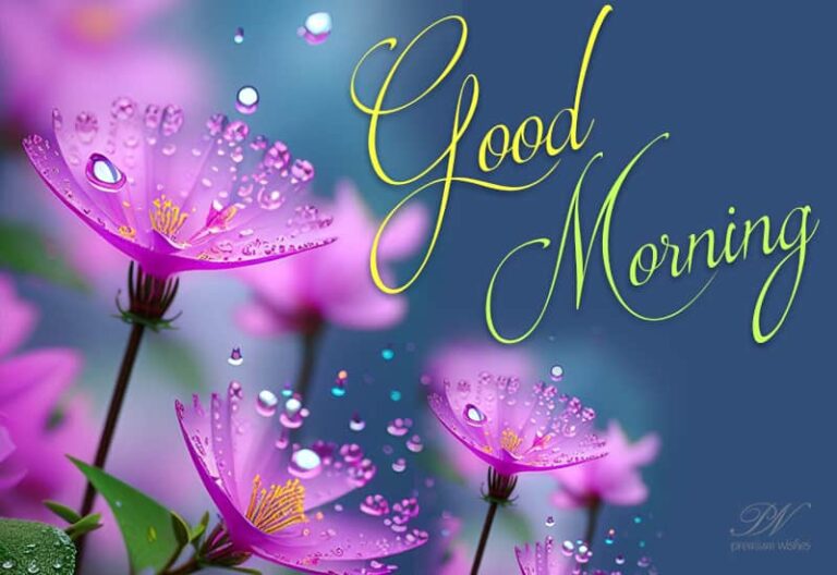 Good morning! May you rise to new hopes and dreams. I wish you all the best in everything you do