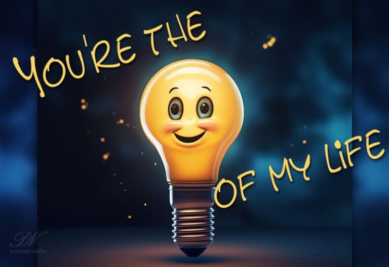 You are the …. of my life