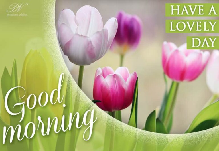 Good Morning Friends – Have a lovely day