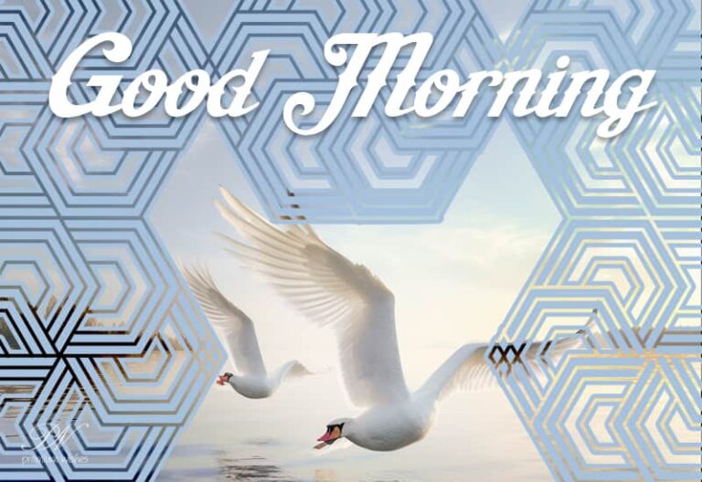 Good Morning – Get Up and Fly High